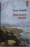 Cumpara ieftin CEZAR AMARIEI - ZILELE NOASTRE MARUNTE (ROMAN) [2018]