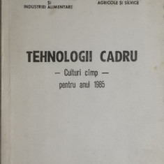 Tehnologii cadru, culturi camp / cimp, pentru anul 1985