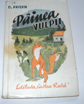 Painea vulpii, M. Prisvin, 1945 foto