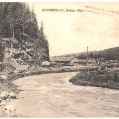 SV * Prundul Bargaului * Valea Dornei 1924 / tipar 1918 * Fabrica de Hartie