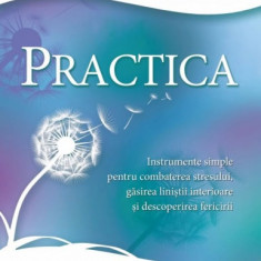 Practica instrumente simple pentru combaterea stresului gsirea linitii interioare i descoperirea fericirii - barb schmidt carte