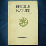 EFIGIILE NATURII - ANTOLOGIA PASTELULUI ROMANESC