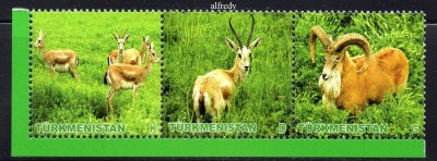TURKMENISTAN 2009, Fauna, serie neuzată, MNH foto