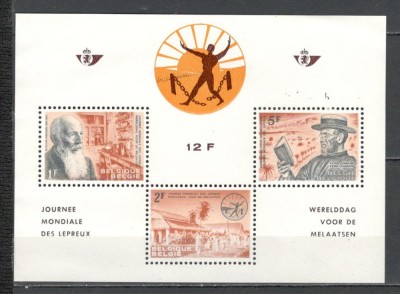 Belgia.1964 Campanie impotriva leprei-Bl. MB.50 foto