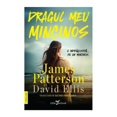 Dragul meu mincinos foto