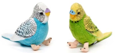 Papagal Perus de plus 12 cm nat geo foto