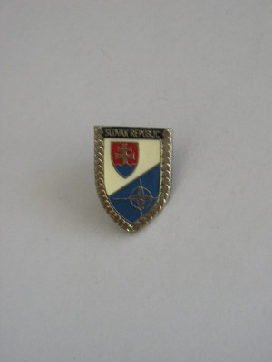 QW9 N3 19 - insigna - aliante militare - NATO - Slovacia foto