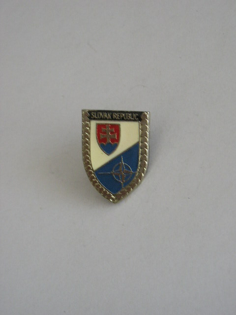 QW9 N3 19 - insigna - aliante militare - NATO - Slovacia
