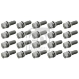 Surub roata Renault Avantime, Clio III, Espace III, Espace IV, Laguna I, Megane II, Megane Scenic, Safrane I, parte montare puntea spate, punte