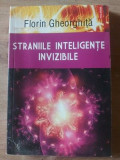 Straniile inteligente invizibile- Florin Gheorghita