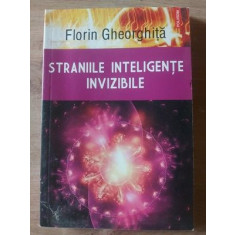 Straniile inteligente invizibile- Florin Gheorghita