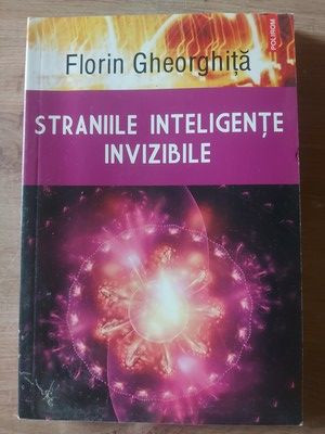 Straniile inteligente invizibile- Florin Gheorghita foto