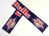 Fular fotbal - RED BULL SALZBURG (Austria)