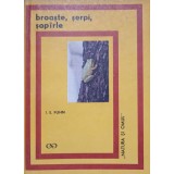BROASTE, SERPI, SOPARLE-I.E. FUHN-266201