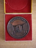 QW5 5 - Medalie - tematica heraldica - Timisoara