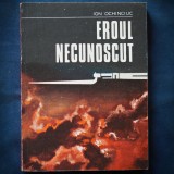 Cumpara ieftin EROUL NECUNOSCUT - ION OCHINCIUC