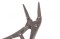 icon 5