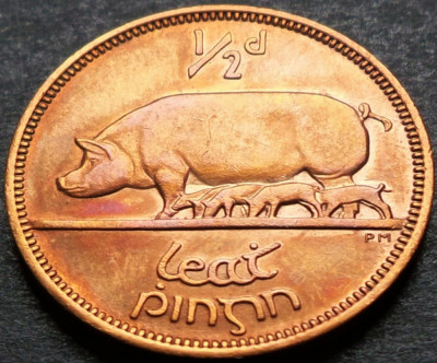 Moneda 1/2 PINGIN (HALF PENNY) - IRLANDA, anul 1964 * cod 4236 A = A.UNC foto