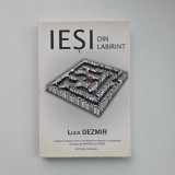 Luca Dezmir, Iesi din labirint, Editura Gordian, Timisoara, 2010, dedicatie