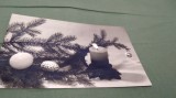 Cumpara ieftin CARTE POSTALA FELICITARE CIRCULATA
