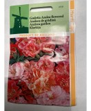 Seminte Flori Godetia Azaleaflora Horti Tops, Azalea de Gradina 0.5g, Flori Bogate, Parfum Subtil, Usor de Cultivat