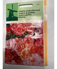 Seminte flori Godetia Azaleaflora &ndash; Azalea De Gradina Horti Tops 0,5 g.