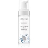 Organique Basic Cleaner Face Cleansing Foam spuma de curatat cu efect de hidratare 170 ml