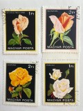 Ungaria 1982 Flora Soiuri de Trandafiri de Grădină Lot 4 Timbre Ștampilate - A301