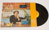 Art Garfunkel - Fate for Breakfast - disc vinil ( vinyl , LP ), Rock