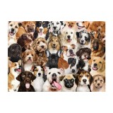 All the Dogs 500 Piece Jigsaw Puzzle