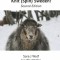 Knit (Spin) Sweden!: Second Edition