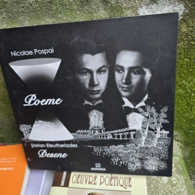 Poeme - Nicolae Pospai foto