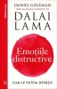Emotiile distructive, Daniel Goleman, Curtea Veche Publishing