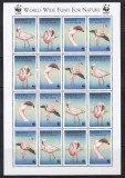 Angola 1999 - Specii pe cale de dispariție - Flamingo mic, MC de 4 Serii, MNH