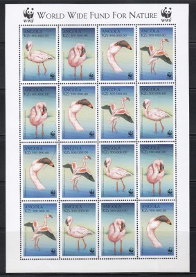 Angola 1999 - Specii pe cale de dispariție - Flamingo mic, MC de 4 Serii, MNH foto