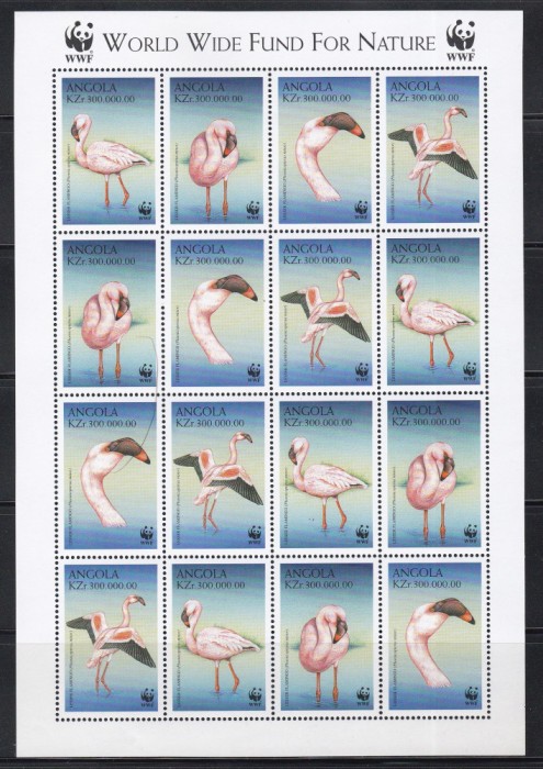 Angola 1999 - Specii pe cale de dispariție - Flamingo mic, MC de 4 Serii, MNH