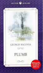 Plumb - George Bacovia foto