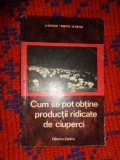 Cum se pot obtine productii ridicate de ciuperci - N.Mateescu (199 pagini)