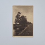Fotografie format CP: Atelier necunoscut, Pe malul raului Bega in apropierea orasului Timisoara, ca. 1910 / Banat / Romania