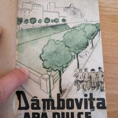DAMBOVITA APA DULCE , ROMAN , EDITIA A IV - A de DAMIAN STANOIU , 1944