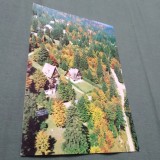 CARTE POSTALA SINAIA -VILE PE FURNICA NECIRCULATA