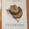 Pelerinii de Elizabeth Gilbert