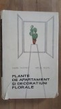 Plante de apartament si decoratiuni florale- Eugen Sadofsky, Amelia Militiu