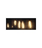 Ghirlanda luminoasa 8 turturi lumina alba cablu transparent WELL
