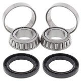 Kit rulment roata Spate (cu etansanti) pentru POLARIS XPLORER 300 1999-1999