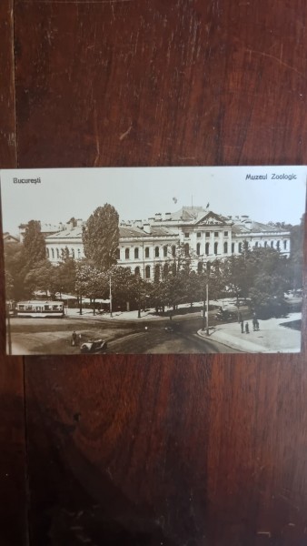 Carte Postala - Bucuresti. Muzeul Zoologic