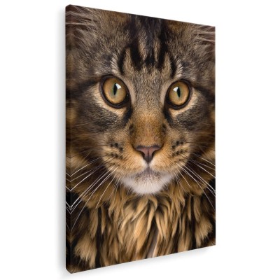 Tablou portret pisica maro cu negru Tablou canvas pe panza CU RAMA 20x30 cm foto