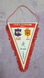 Fanion Dinamo