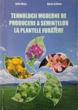 Tehnologii moderne de producere a semintelor la plantele furajere - Iuliu Moga, Maria Schitea