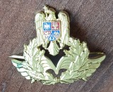QW14 - Emblema militara / cuc - aviatie - piesa de colectie